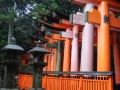 Kyoto : Inari